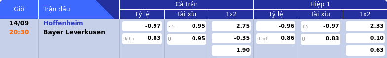 Thông tin bảng tỷ lệ kèo bóng đá Hoffenheim vs Bayer Leverkusen